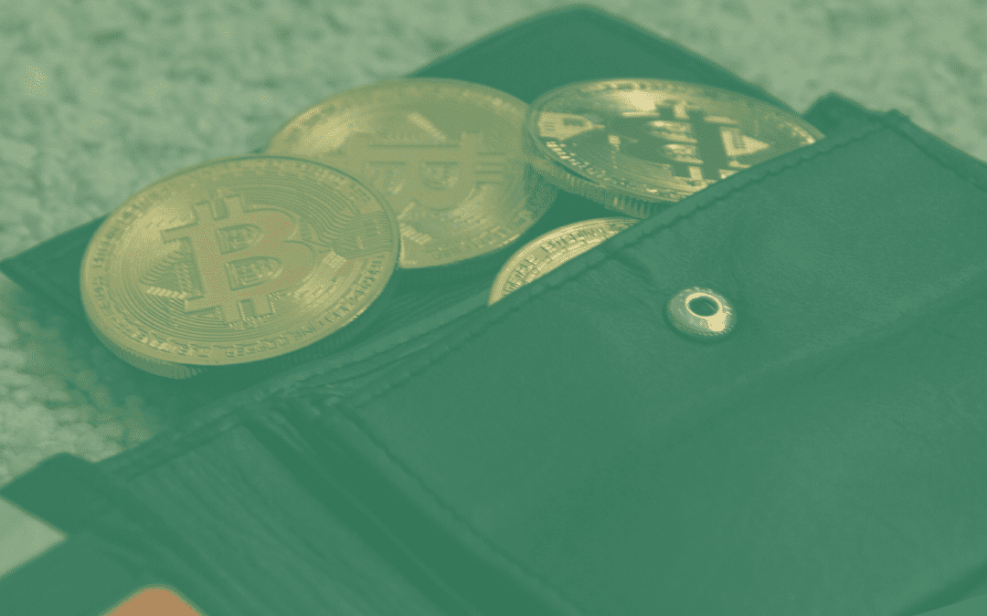 What is a WALLET?