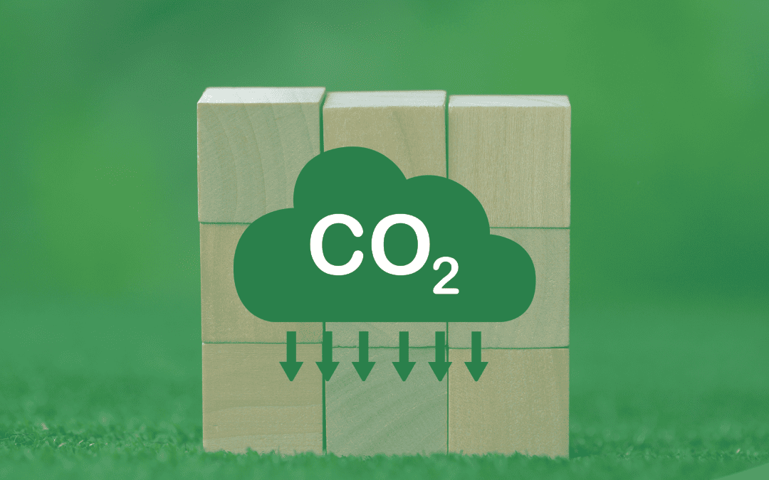 What are Carbon Credits for?