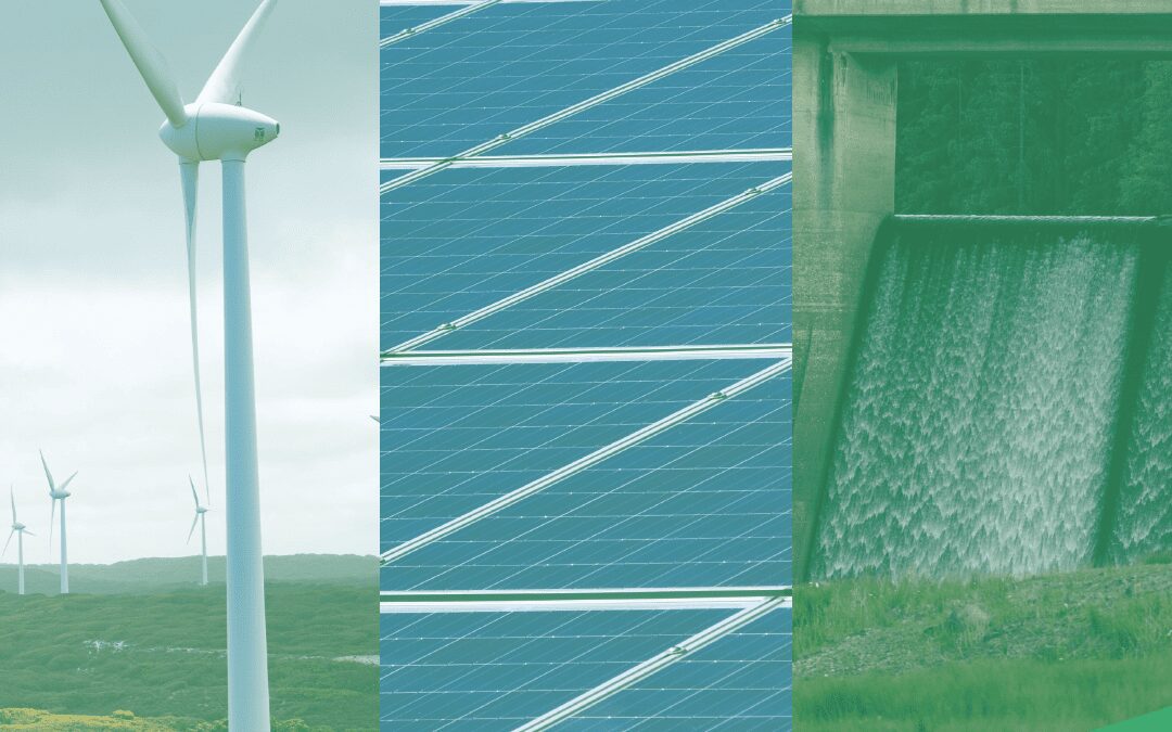 Renewable Energy Continues to Grow